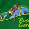 Busch gardens tampa fl